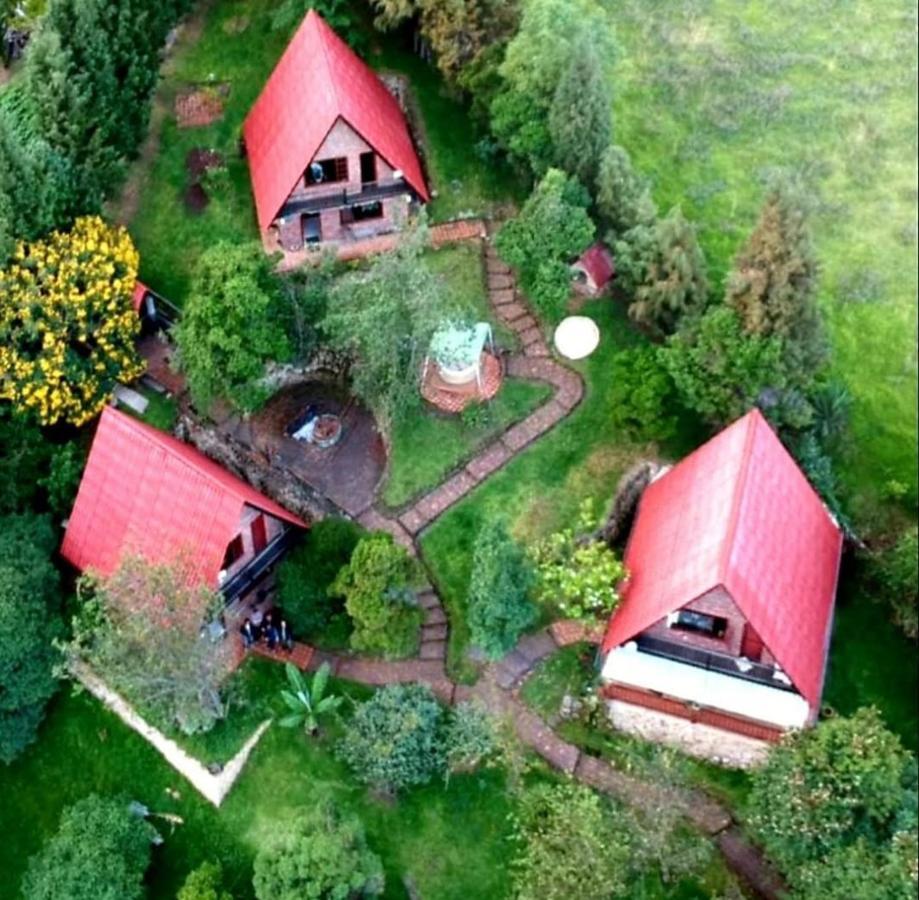 מלון טביו Campina Suiza מראה חיצוני תמונה